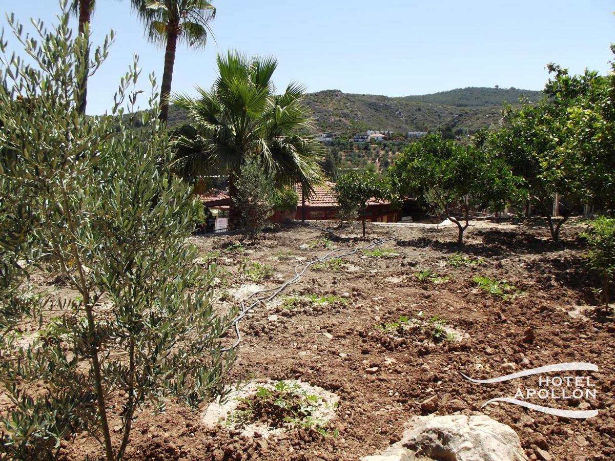 Apollon Hotel Patara Kültér fotó